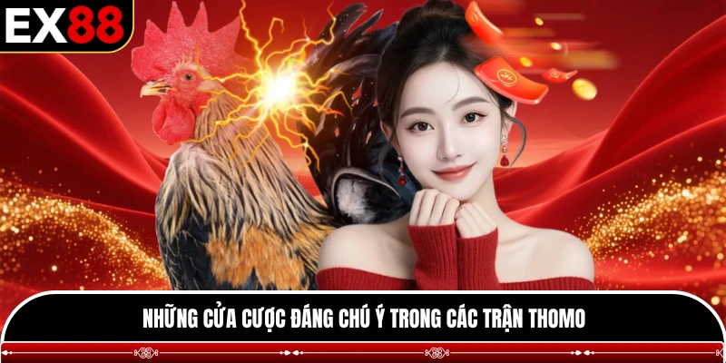 Những cửa cược đáng chú ý trong các trận Thomo