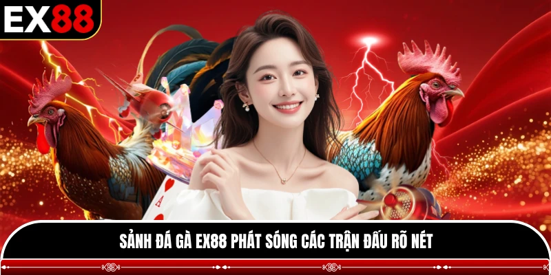 Sảnh đá gà EX88 phát sóng các trận đấu rõ nét